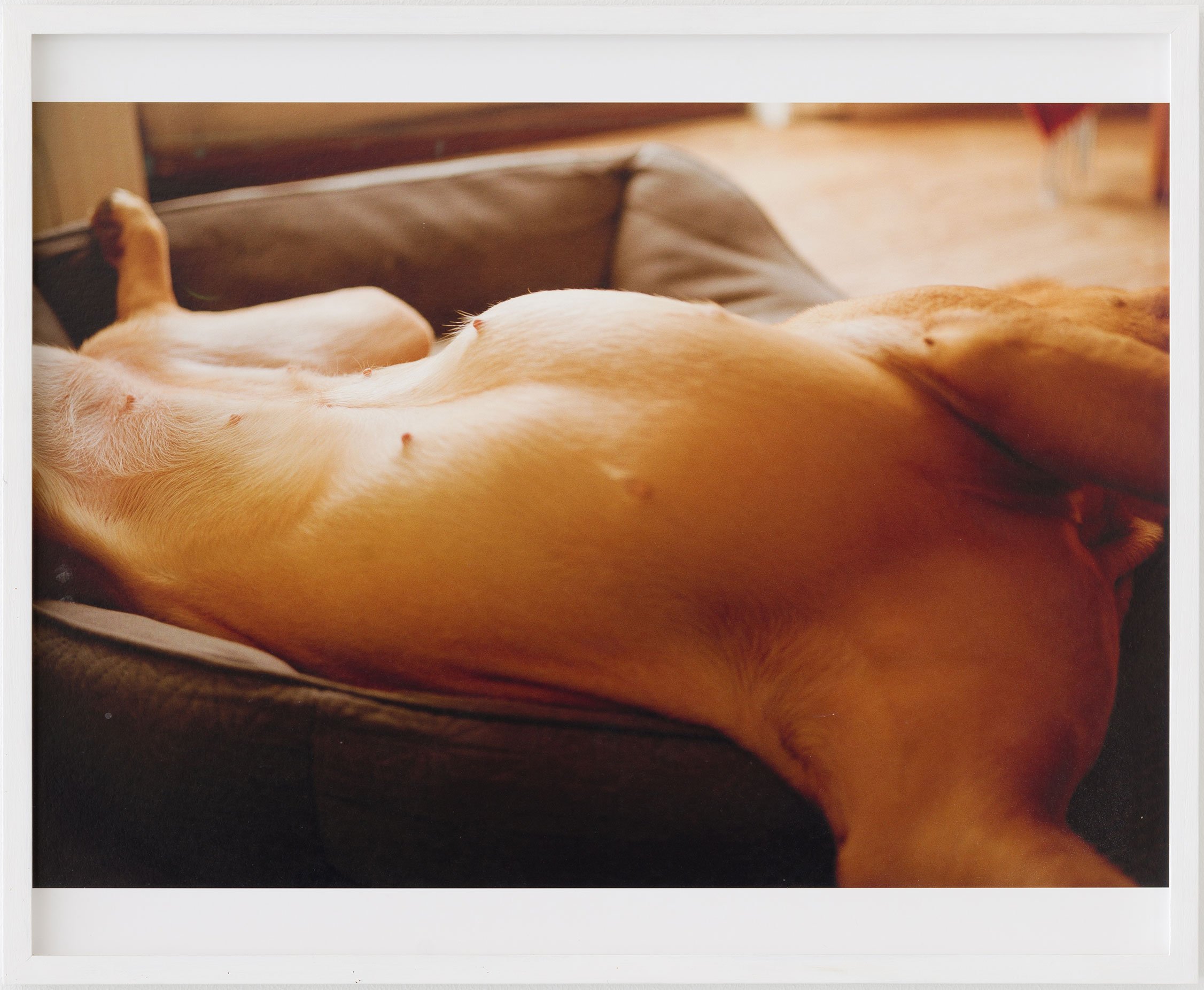 Tine Bek: <i>Draw me like one of your french girls</i>. Foto: Jacob Friis Holm Nielsen