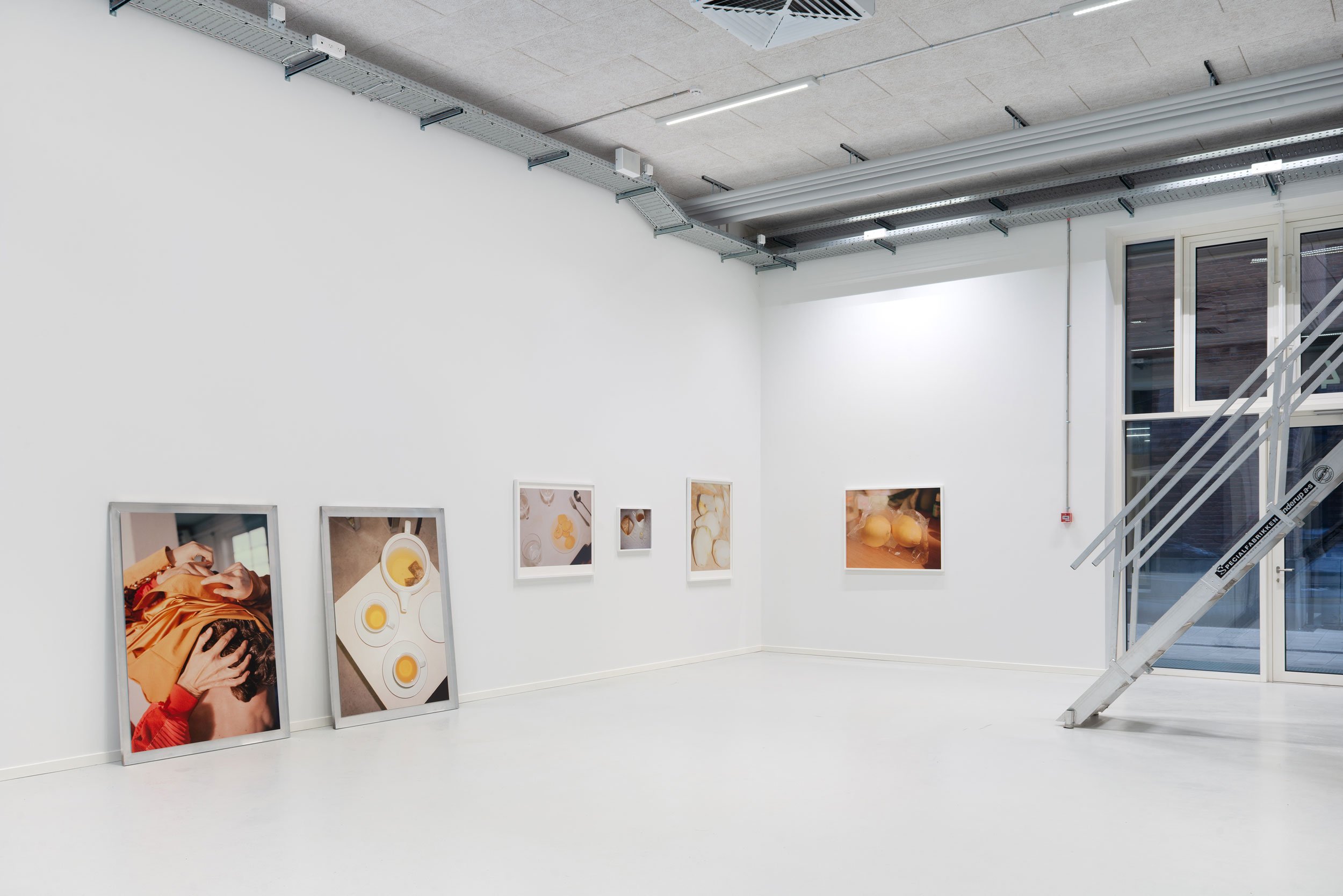 Tine Bek: <i>Flower Bud</i>. Annika Nuttall Gallery. Foto: Jacob Friis-Holm Nielsen