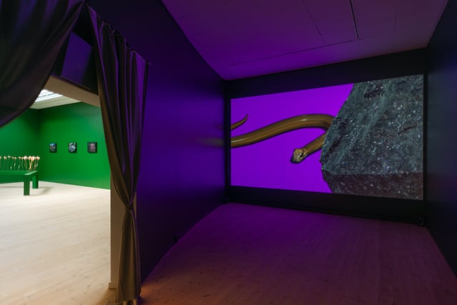 Installationsfoto, Bugs &amp; Metamorphosis, Kunsthal Aarhus, 2025. Foto: Jacob Friis-Holm Nielsen.