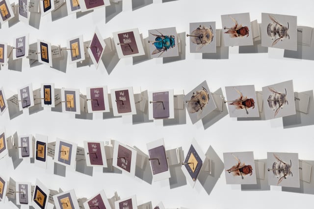Installationsfoto, Bugs &amp; Metamorphosis, Kunsthal Aarhus, 2025. Foto: Jacob Friis-Holm Nielsen.