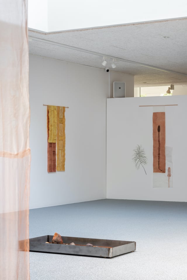 Installationsfoto, Cecilia Westerberg, Videbæk - et sted med rødder i vand, 2025. Foto: Jacob Friis-Holm Nielsen