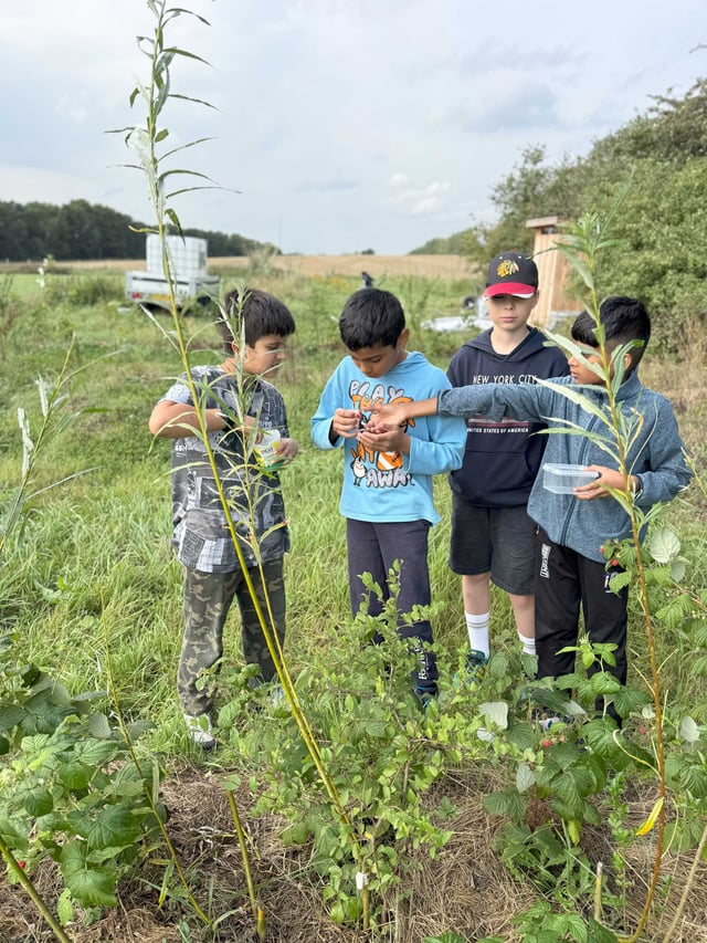 Der bliver samlet frø ind fra madlandskabet. Foto: Lauren Megarry