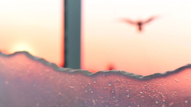 Udsnit af Lys, skygge og lækage