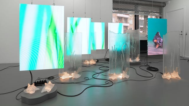 View af Lys, skygge og lækage