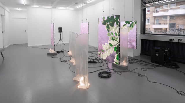 View af Lys, skygge og lækage