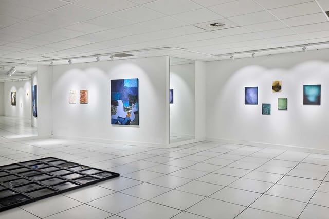 View fra udstillingen Terræn. Foto: Galleri Under Svanen