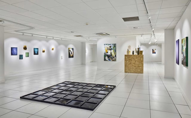 View fra udstillingen Terræn. Foto: Galleri Under Svanen