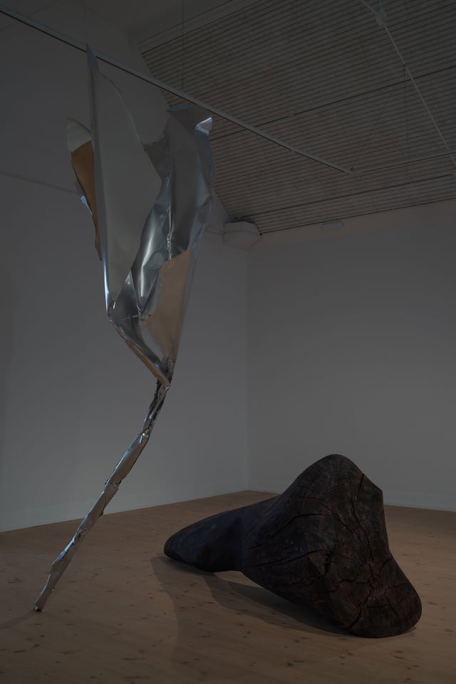 View fra udstillingen Searching Through the Dark and the Light. Foto: Jacob Friis Holm Nielsen.