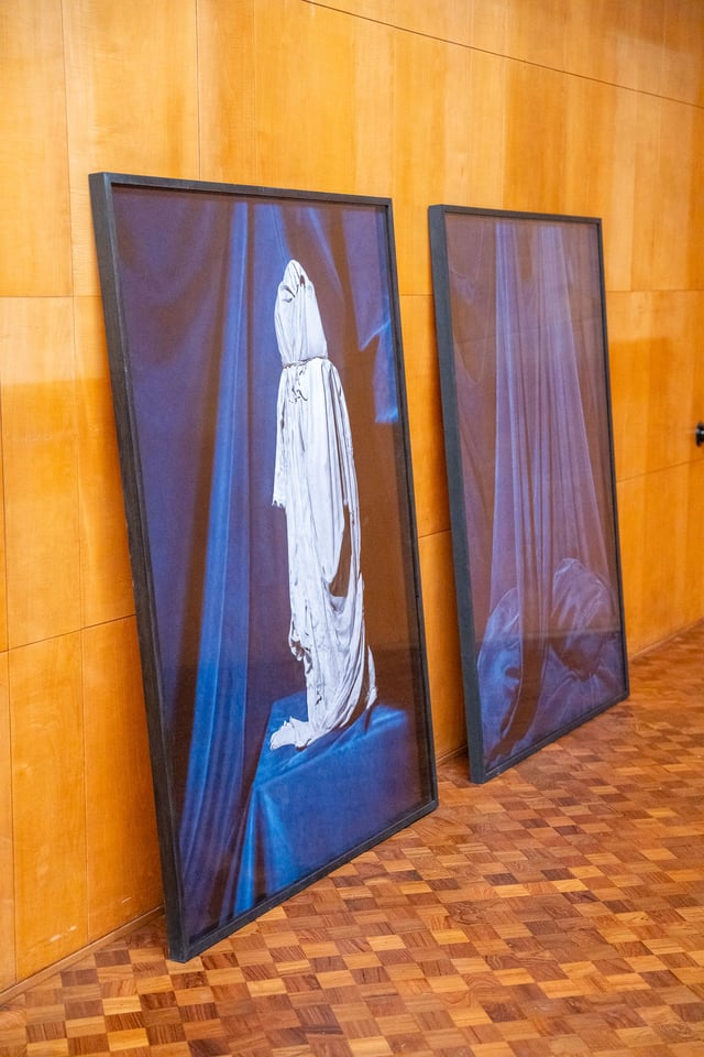 Komitésalen med Valerie Collart My Eyes Coldly Stuffed With Silk (Blue) (2017). Foto: Dansk Erhverv.