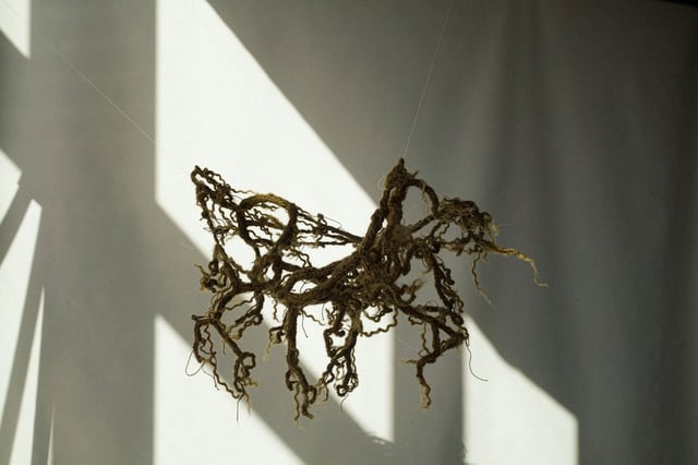 Alberte Bager: Rødder, 2025. Foto: Spinderihallerne.