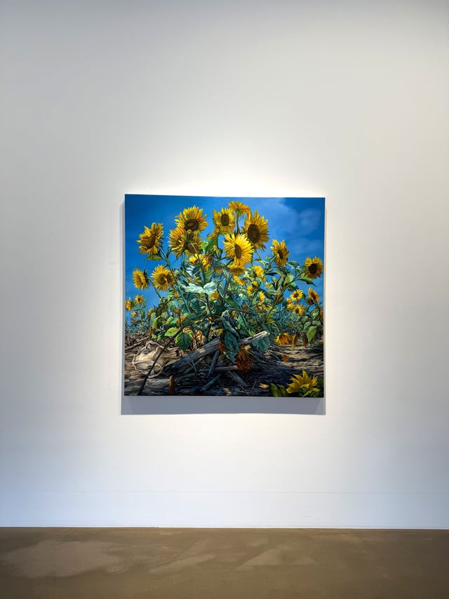 Installationsview fra udstillingen Absolute Elsewhere. Foto: Morten Poulsen.