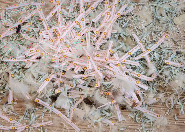 Installationsview fra udstillingen af Jason Dodge og Elena Narbutaitė. Foto: Malle Madsen.