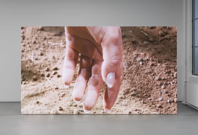 View fra Freja Sofie Kirks <i>Pastimes</i>. Foto: David Stjernholm.