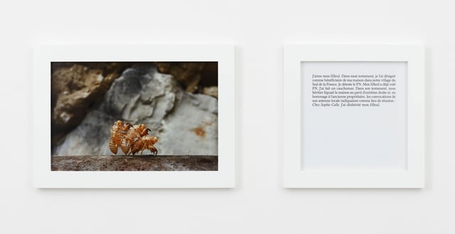 Sophie Calle: <i>Cauchemar nightmare</i>, 2021. Foto: Claire Dorn / ©️ADAGP.