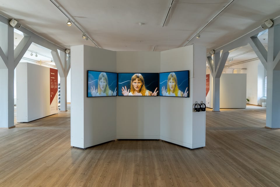 Frida Retz, <i>Creature in my belly</i>. Baseret på Hjermind-stenen II. Foto: Johan May Nitschke / Rundetaarn