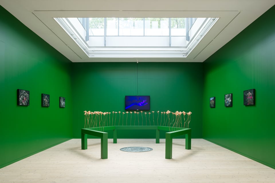 Installationsfoto, <i>Bugs & Metamorphosis</i>, Kunsthal Aarhus, 2025. Foto: Jacob Friis-Holm Nielsen.
