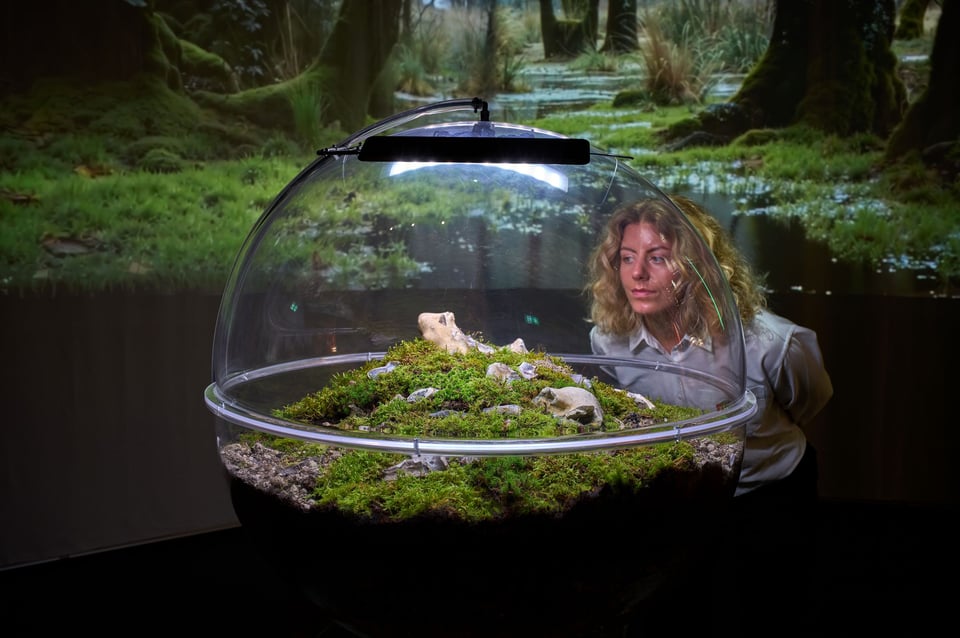 Dansk Arkitektur Center, <i>Age of Nature</i>. Installationsfoto: Anders Sune Berg