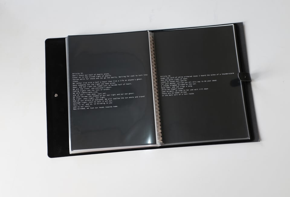 Eksempel på kærlighedsparagraf. Eliyah Mesayer. 