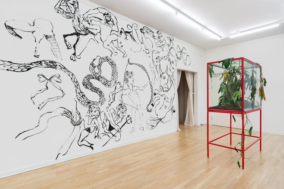 Karim Boumjimar har allerede flere udstillinger på sit cv. Her fra udstillingen <i>Birds of Paradise</i> på Viborg Kunsthal, 2026. Foto: Jacob Friis-Holm Nielsen