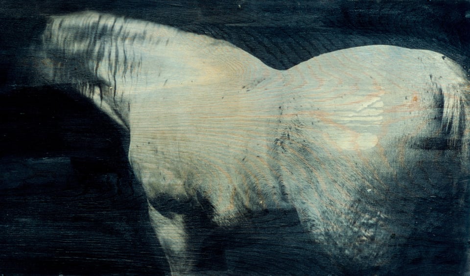 Jytte Rex: <i>Ibrahim</i>, 2023. Print på aluminium. Kredit: Jytte Rex