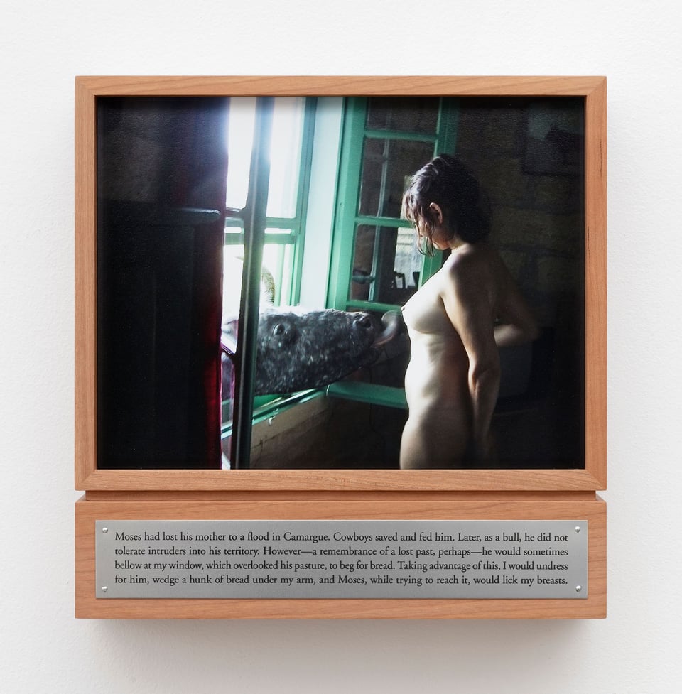 Sophie Calle: <i>Moses</i>, 2020. Foto: ©️ADAGP.